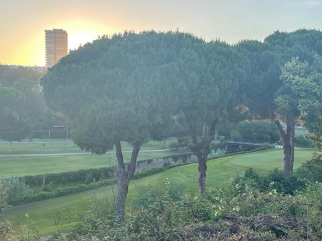 Palm - Luxury At First Line Apartamento *